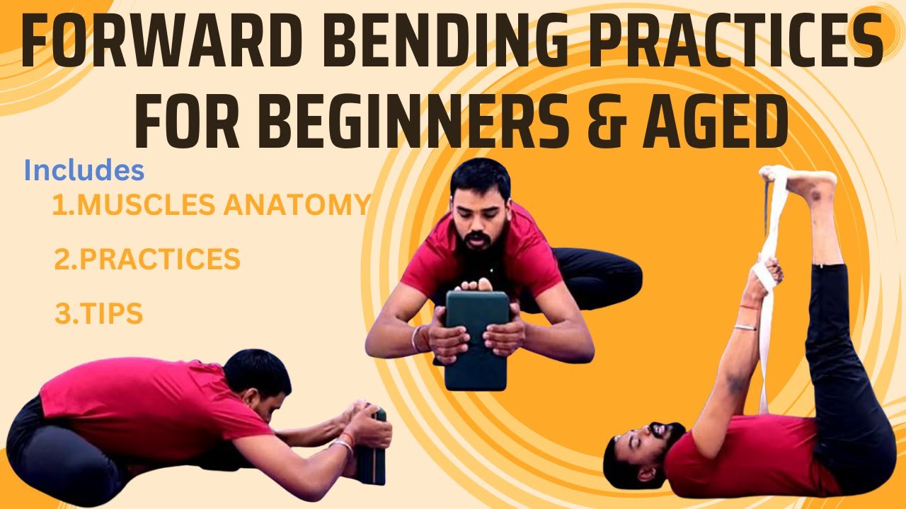 Forward Bending Practices for Beginners & Aged/ Basic Forward Bending & Spine Flexibility Practices