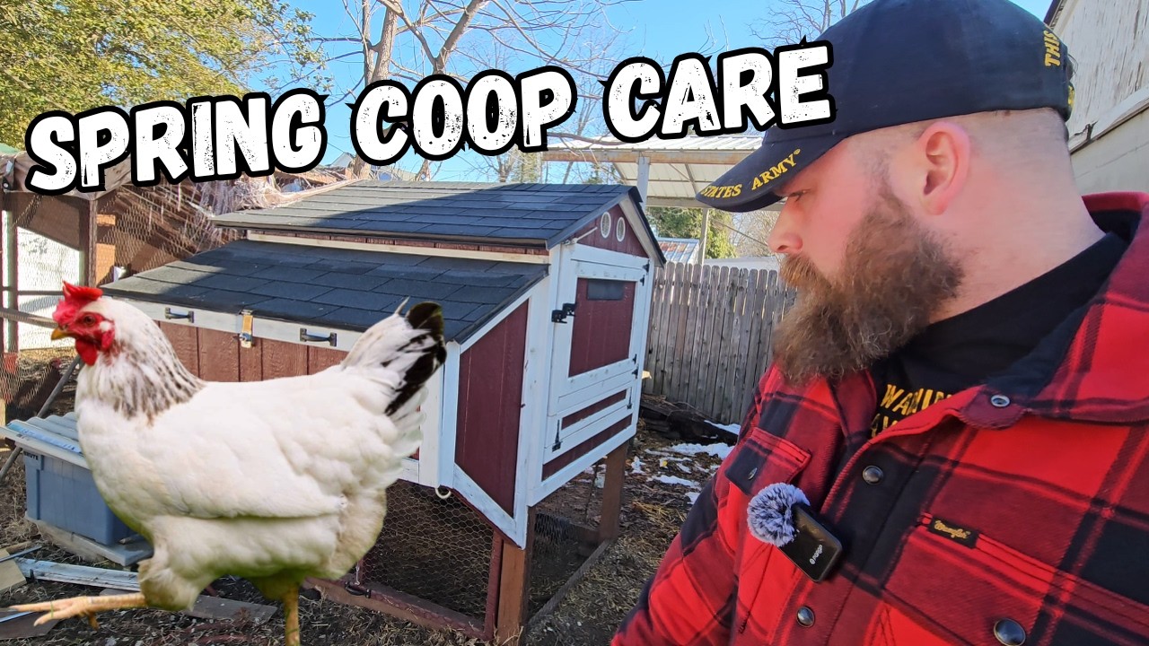 Spring COOP Care