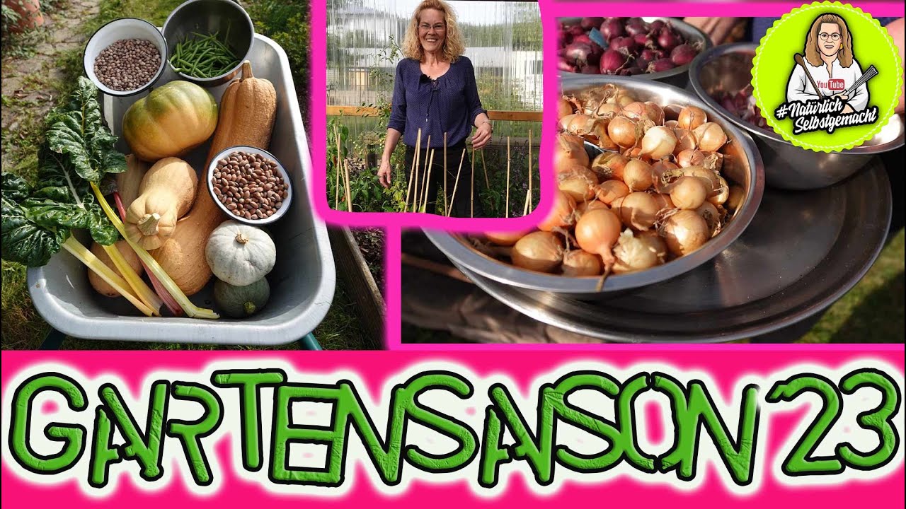 Großer Garten Rundgang Ende September - viele Tipps - Knoblauch und Zwiebeln stecken - große Ernte