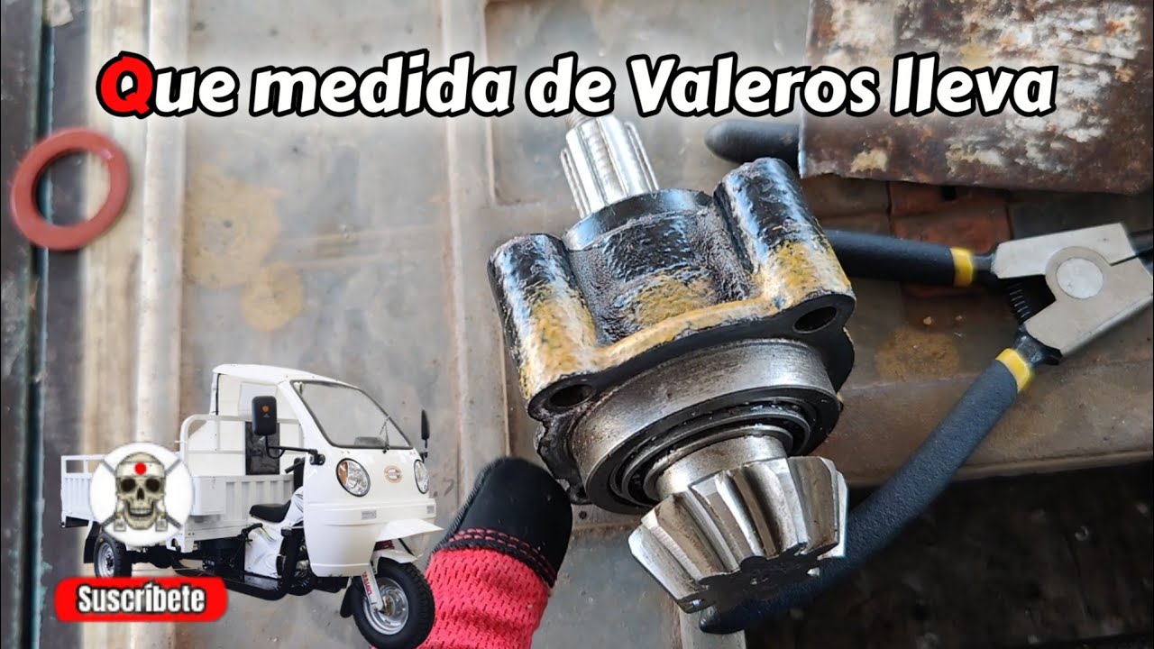 como colocar baleros a piñon de diferencial motocarro 250cc