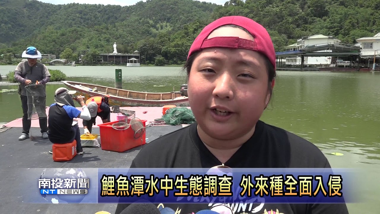 南投新聞  埔里鯉魚潭水中生態調查