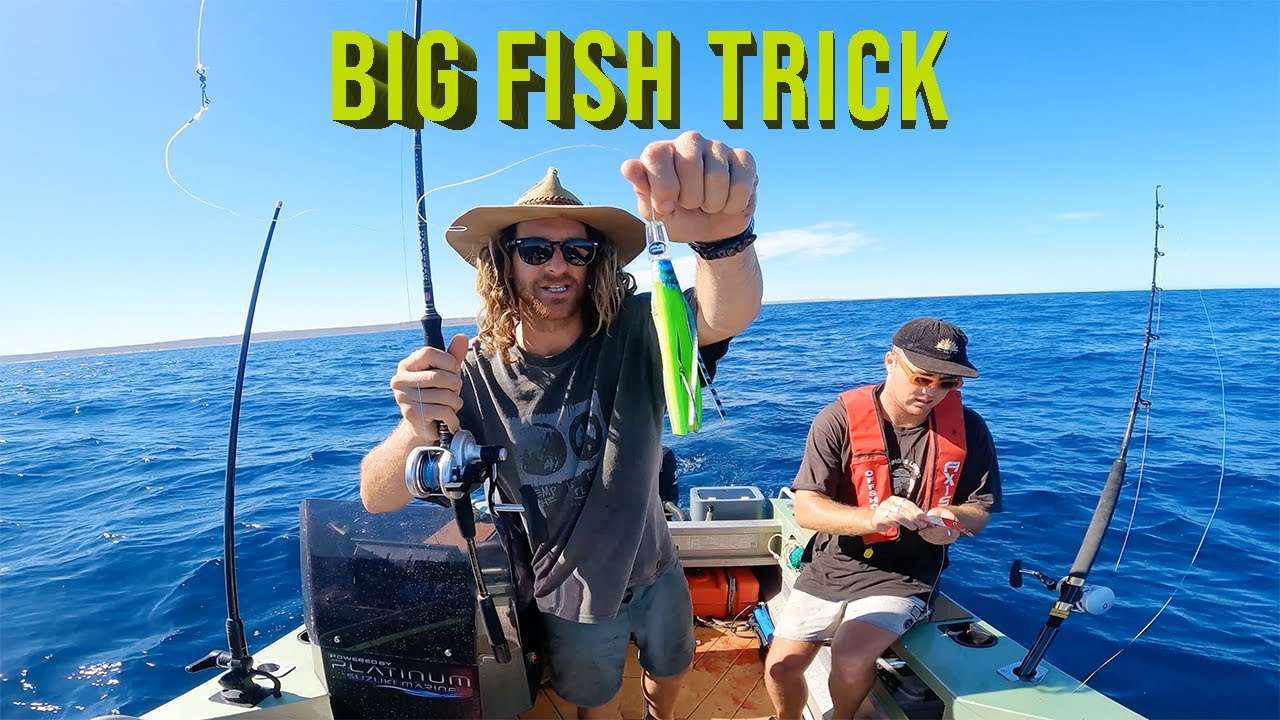 CHASING MARLIN - Ningaloo
