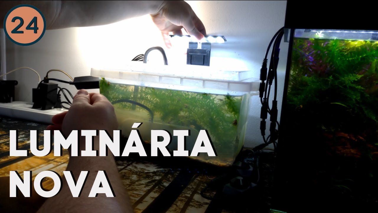 Instalei uma nova luminária no aquário gambiarra! | Vlog 24