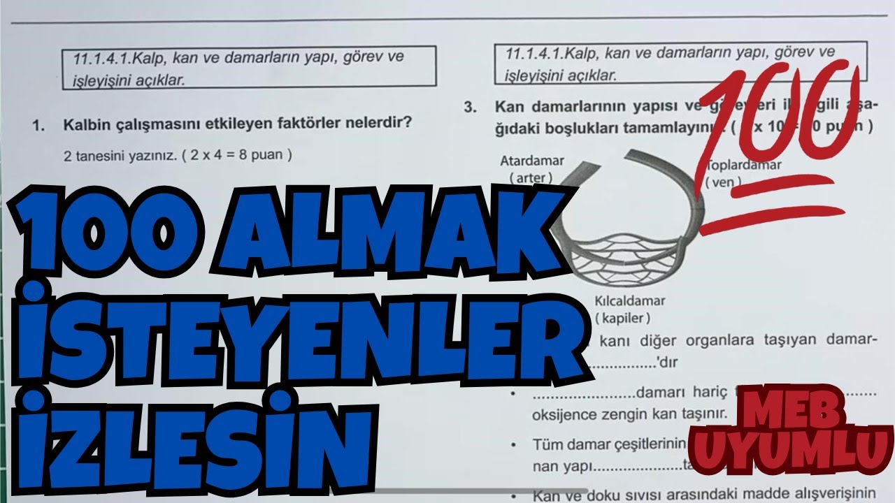 11.Sınıf Biyoloji 2.Dönem 1.Yazılı