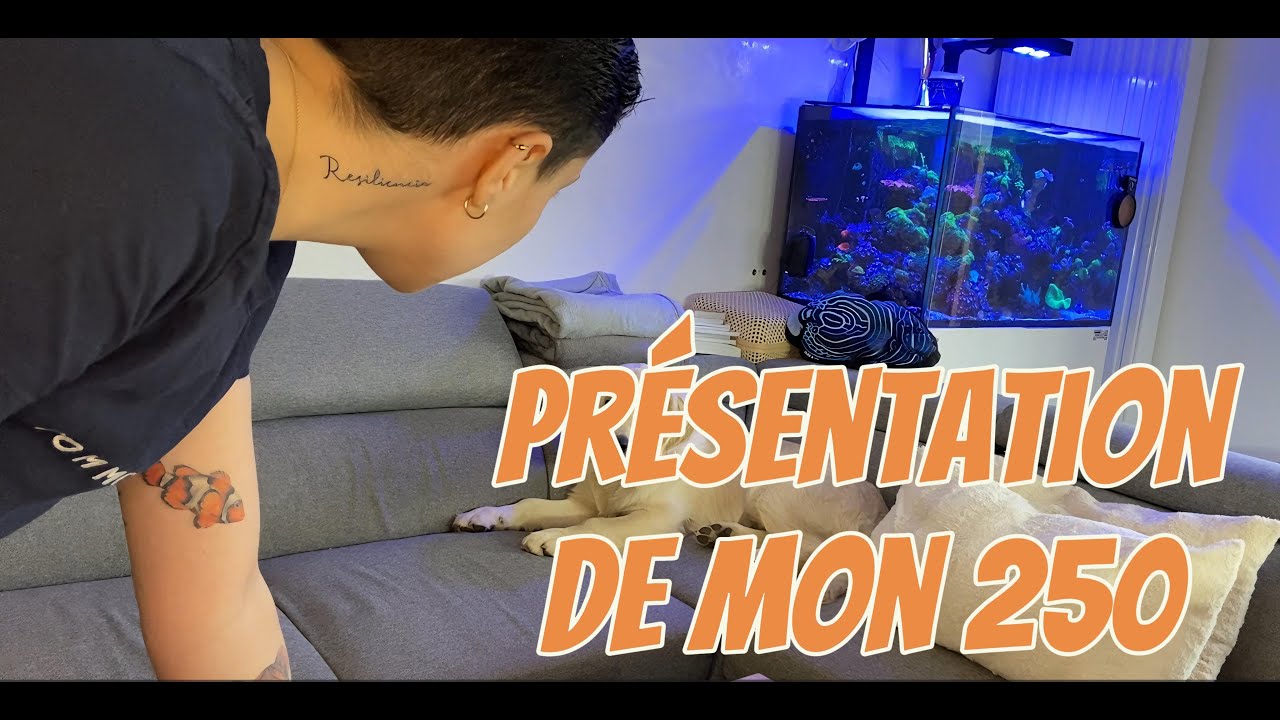 présentation de mon 250 litres !