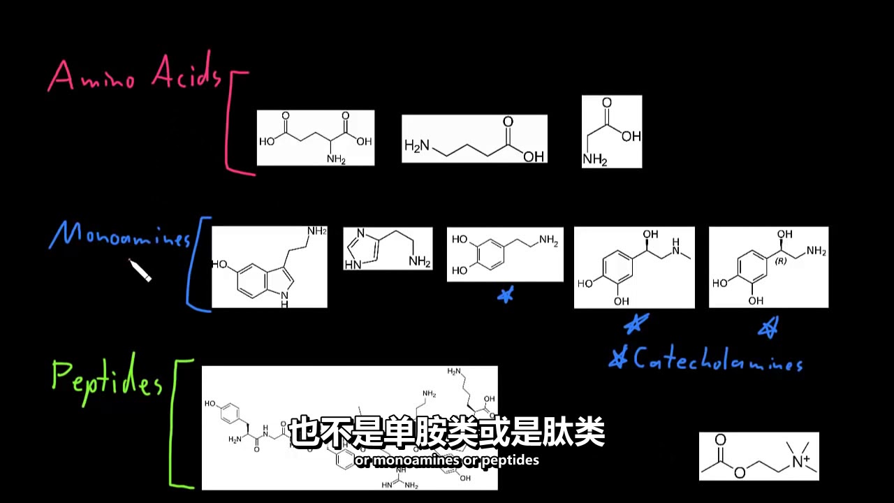 74 神经递质类型 神经系统生理学  NCLEX RN  Khan Academy