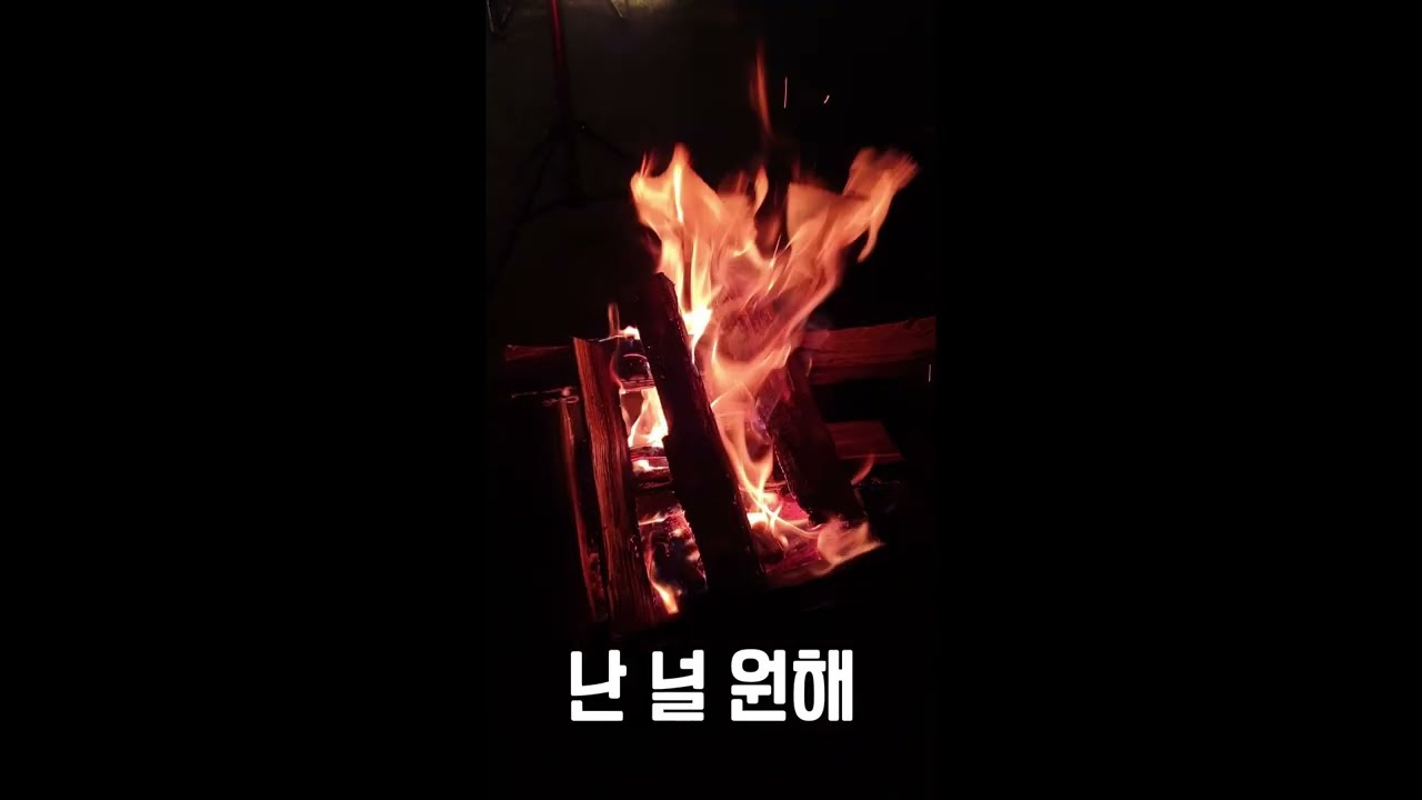 🎶드렁큰타이거 명곡 모음 22곡 #드렁큰타이거