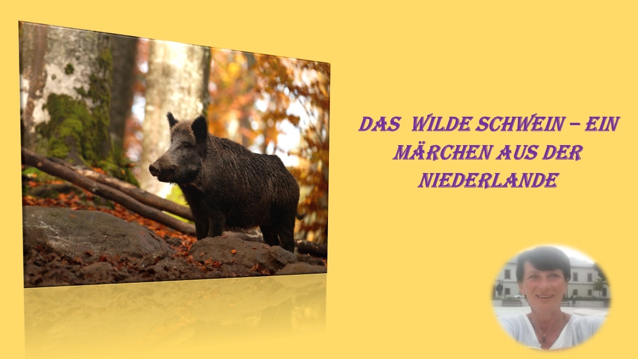 Das wilde Schwein - ein Märchen aus der Niederlande