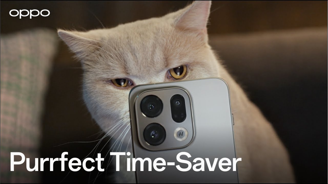 Pawsome Features | AI Mind Space
