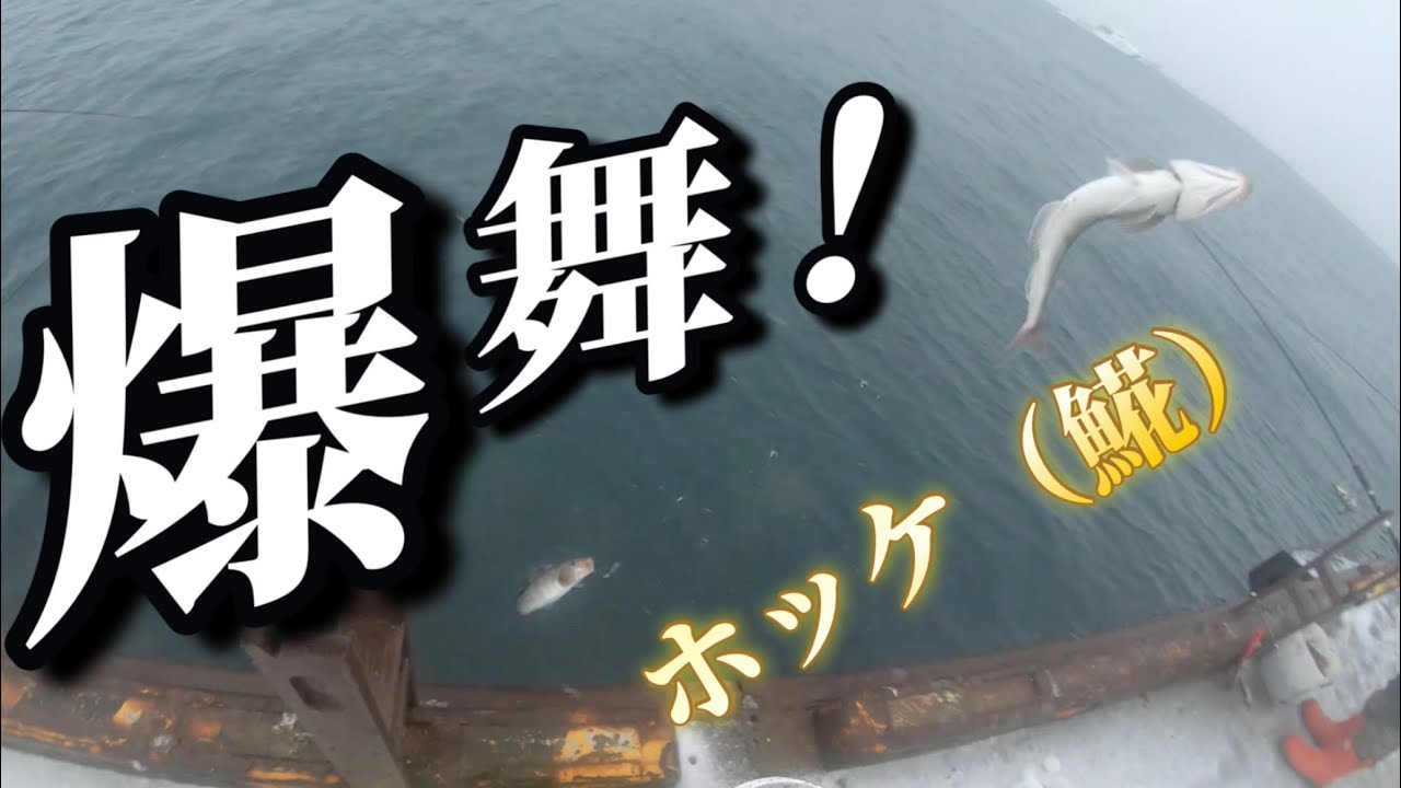 ホッケ（𩸽）から始まる２０２４！強風でホッケ舞い、竿がぶっ飛ぶ！