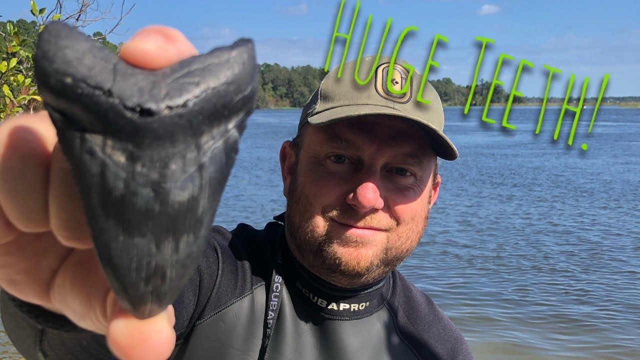 Fossil hunting South Carolina | One Epic Adventure