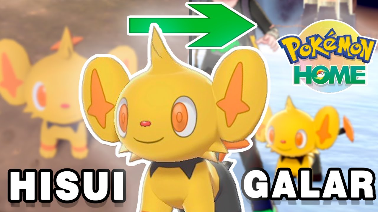 ✨¿Qué Pasa si TRANSFIERES un POKÉMON de HISUI hasta GALAR a Través de HOME? | Como usar Home 2.0
