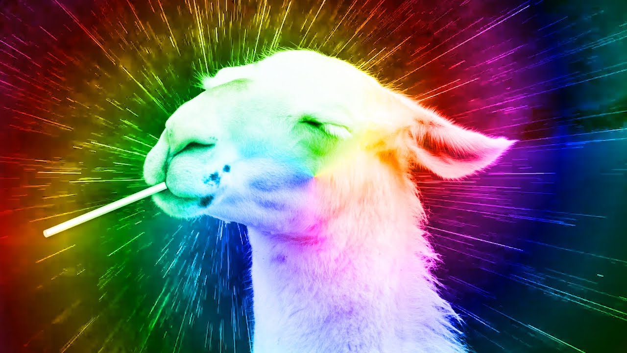 🌿🌈👍 Rainbow Minecraft Dance Llama