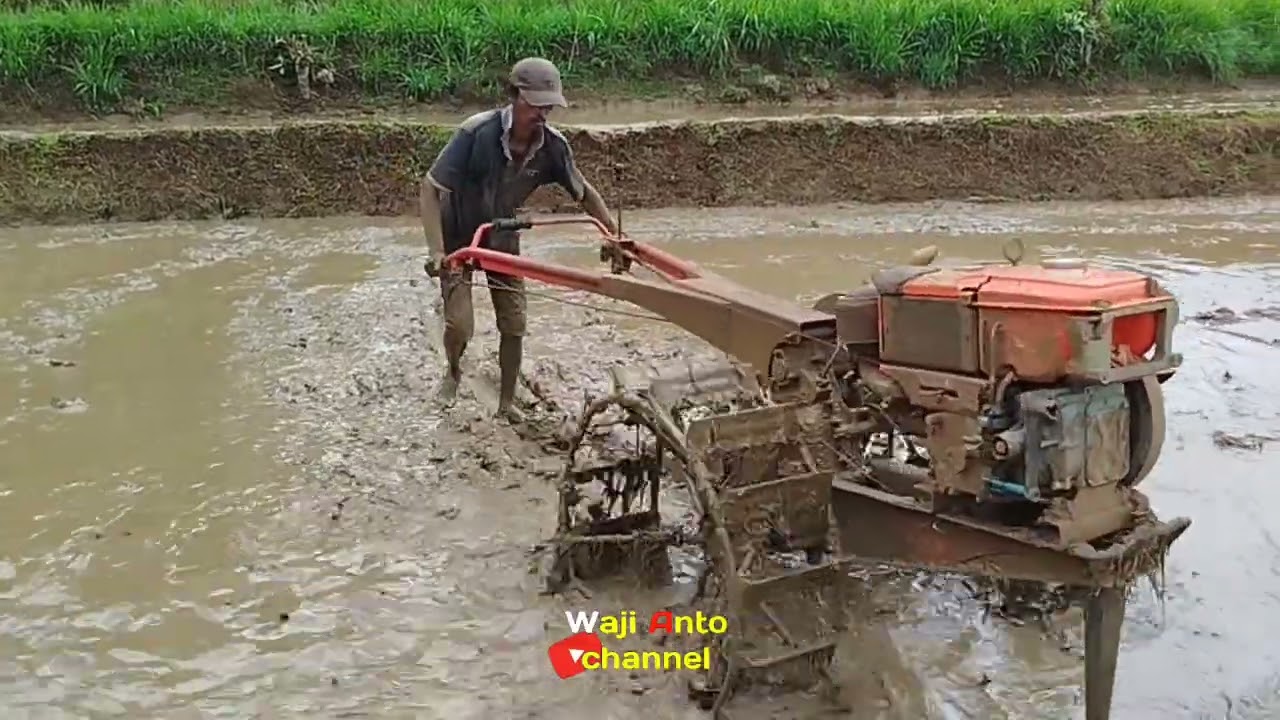 Musim nggarap sawah petani di desa 