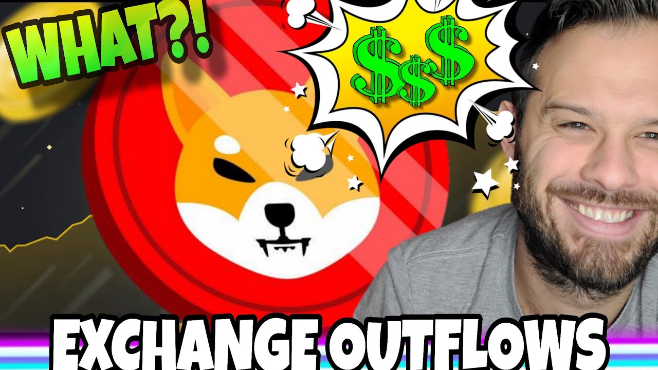 Exchange Reserves Drop, But Shiba Inu Coin Price Reacts How?!