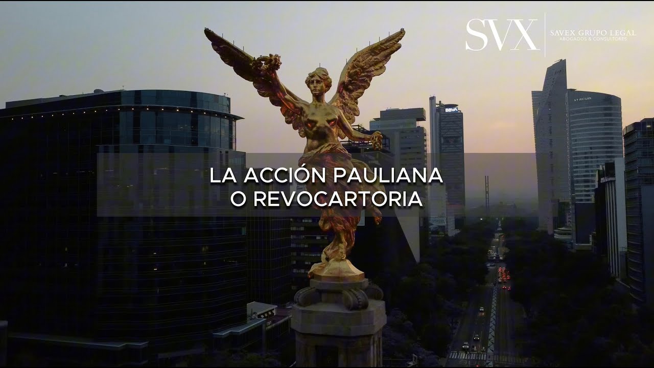 Acción Pauliana O Revocatoria: Qué Es, Cuándo Procede Y Sus Efectos Legales