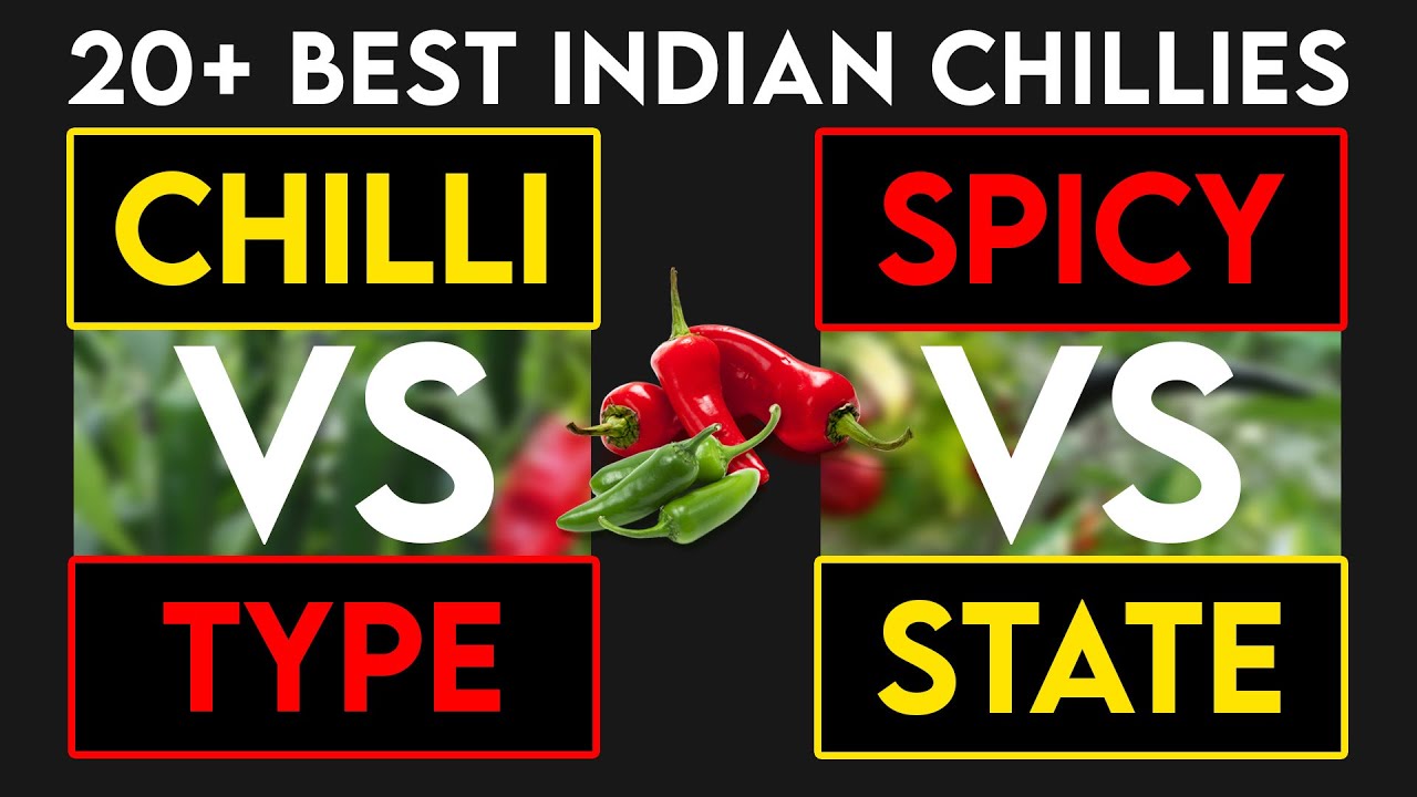 20 best chilli plant varieties in india | Best type of chilli | Chilli plant identification