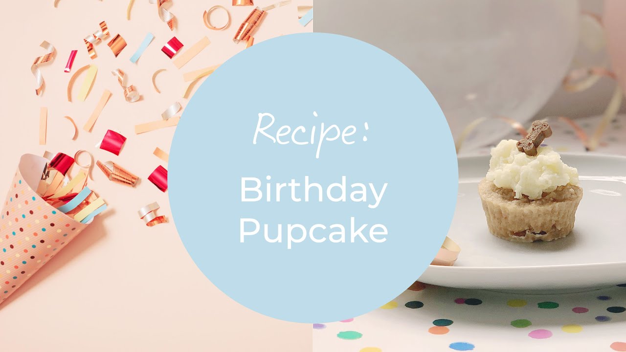 No-bake dog-friendly pupcake recipe