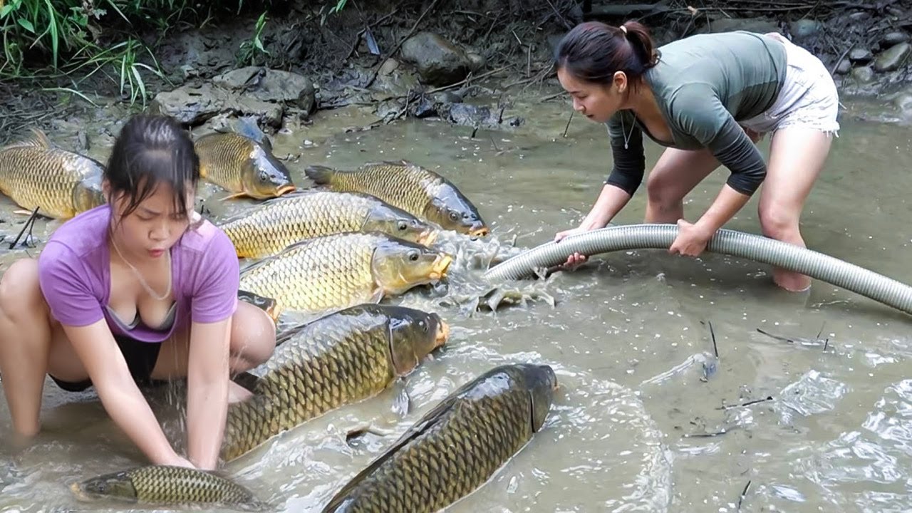 Metode Perangkap Ikan Menggunakan Kail Pancing di Danau – Gadis Itu Menangkap Banyak Ikan Mas