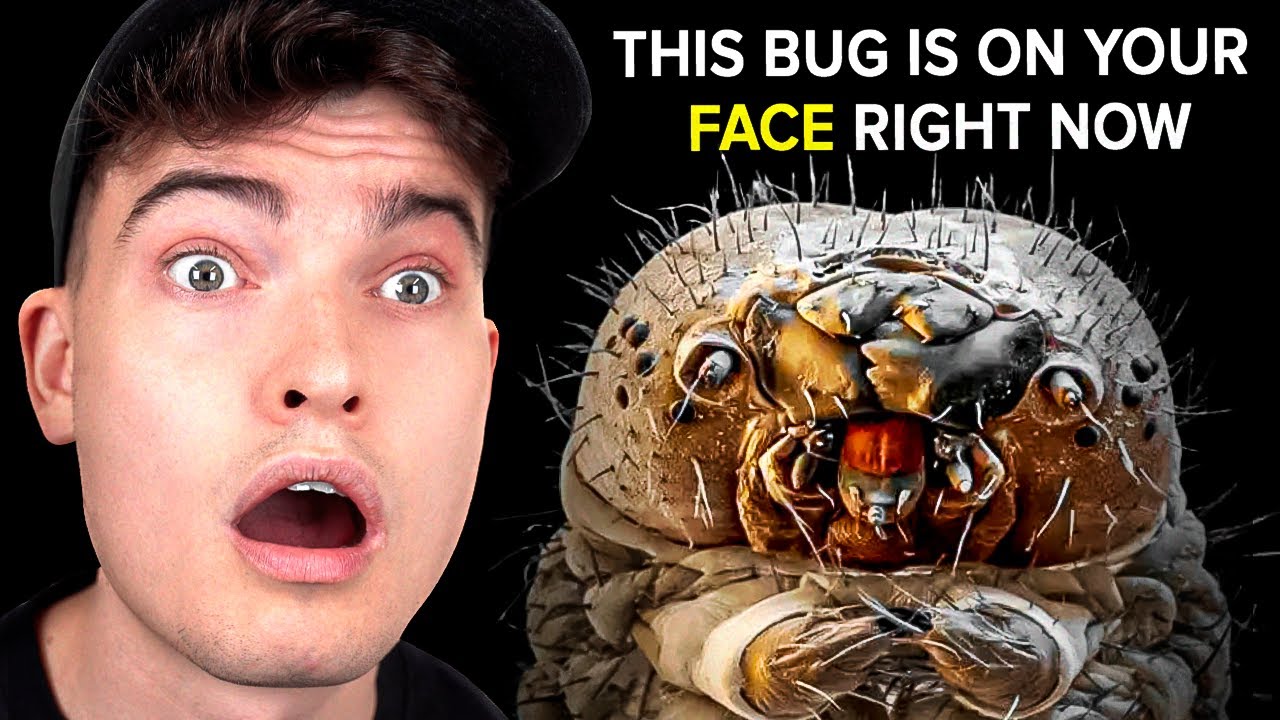 Terrifying Facts That Are Actually True