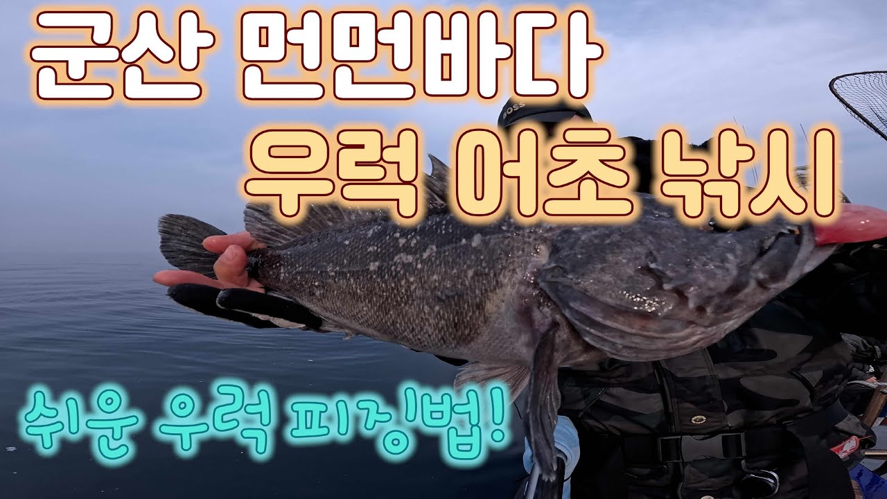 [뚱스호]군산 먼먼바다 침선 우럭낚시 쉬운 피징법도 배워보세요