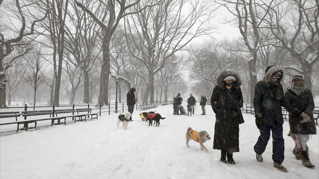 Walk Through Central Park NYC in a Heavy Snowstorm (4K) | Winter 2026