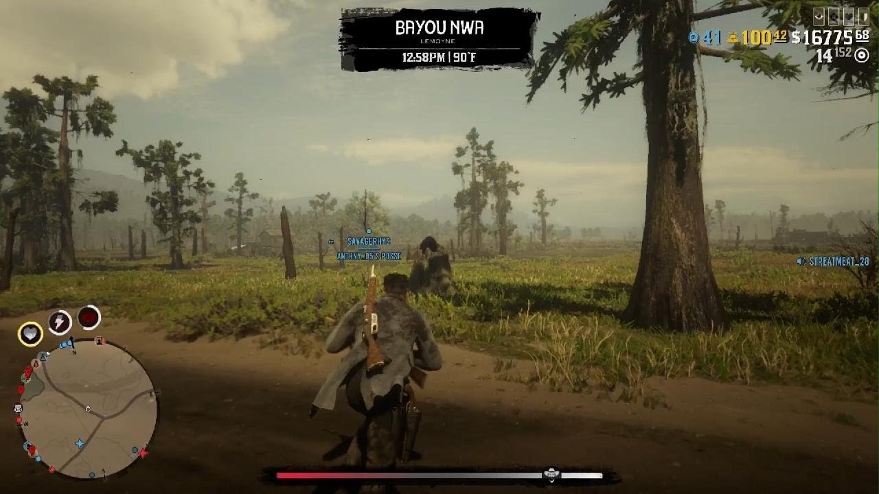 Red dead pvp i dont know who i was fighting lol with friends