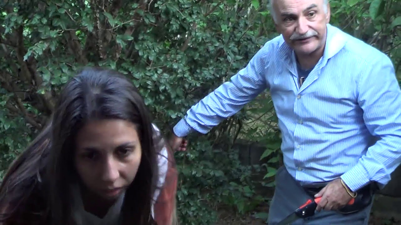 316 ) -  PARTE UM -  COMO SE FAZ A PODA DA JABUTICABEIRA - SP SP