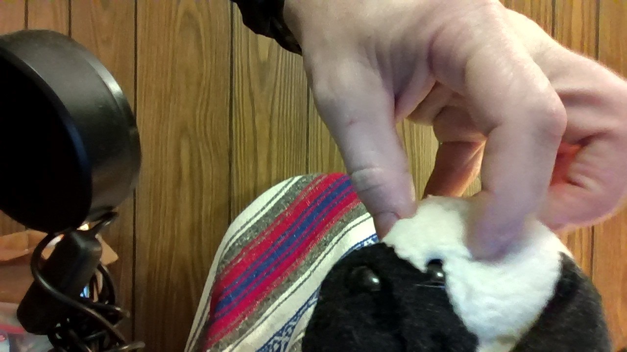 Hey Calvinists! More Sheep and Shepherd Questions. Ezekiel 34