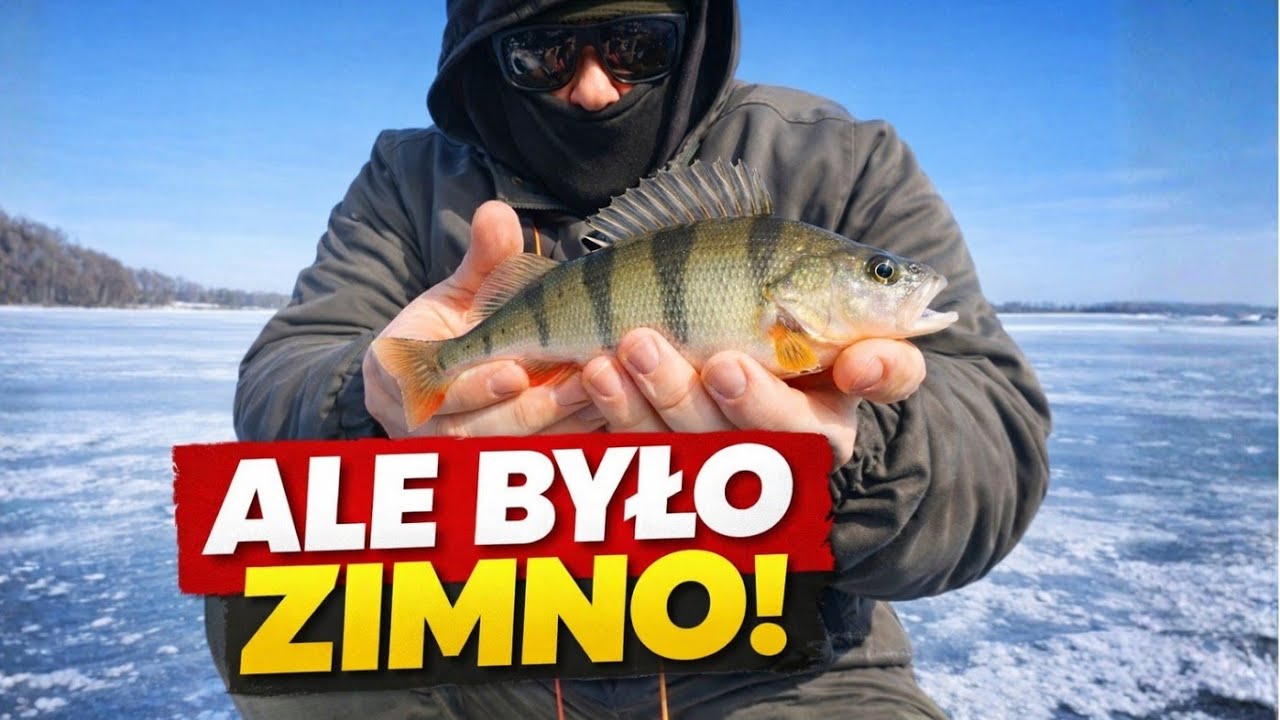 To chyba nie dla mnie - WĘDKARSTWO PODLODOWE 