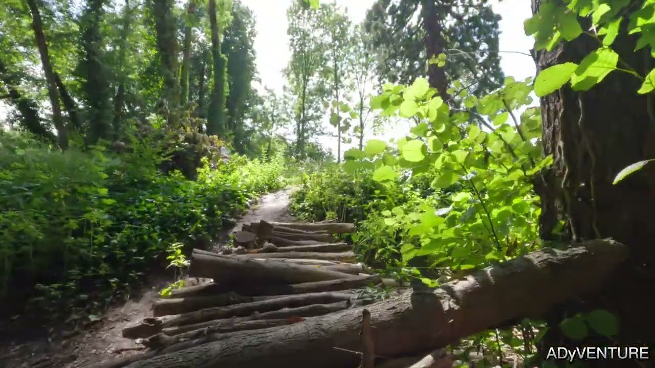 👂🏻👀👂🏻ASMR prechadzka v parku  -  ASMR walking in the park 🇸🇰