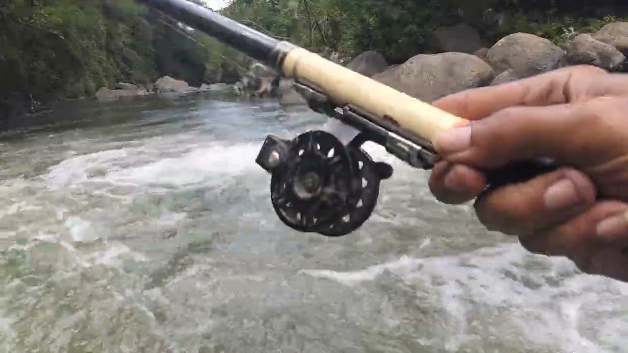Perjuangan berburu mangut, Belum ada rejeki bolo #macingdasaran #fishing #mancingmania #fyp 