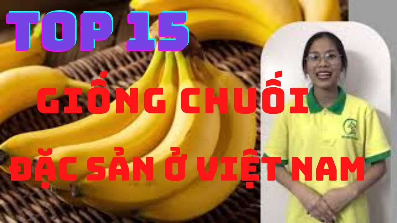TOP 15 GIỐNG CHUỐI ĐẶC SẢN Ở VIỆT NAM - QUẢ CHUỐI|Cây Xanh Ngọc Trang|