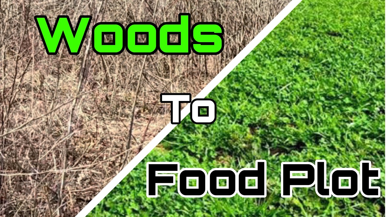 Woods to Food Plot Conversion Pt. 1
