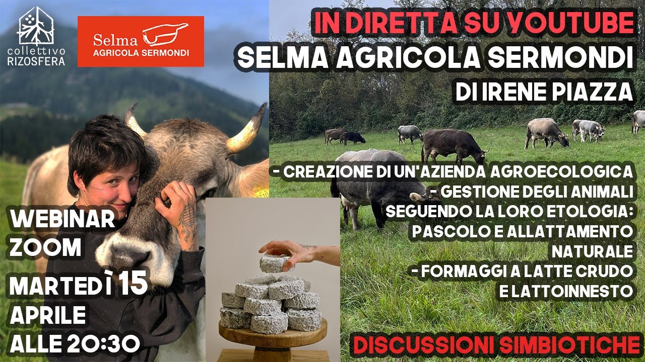 Creazione di un'AZIENDA AGROECOLOGICA Selma agricola Sermondi di Irene Piazza