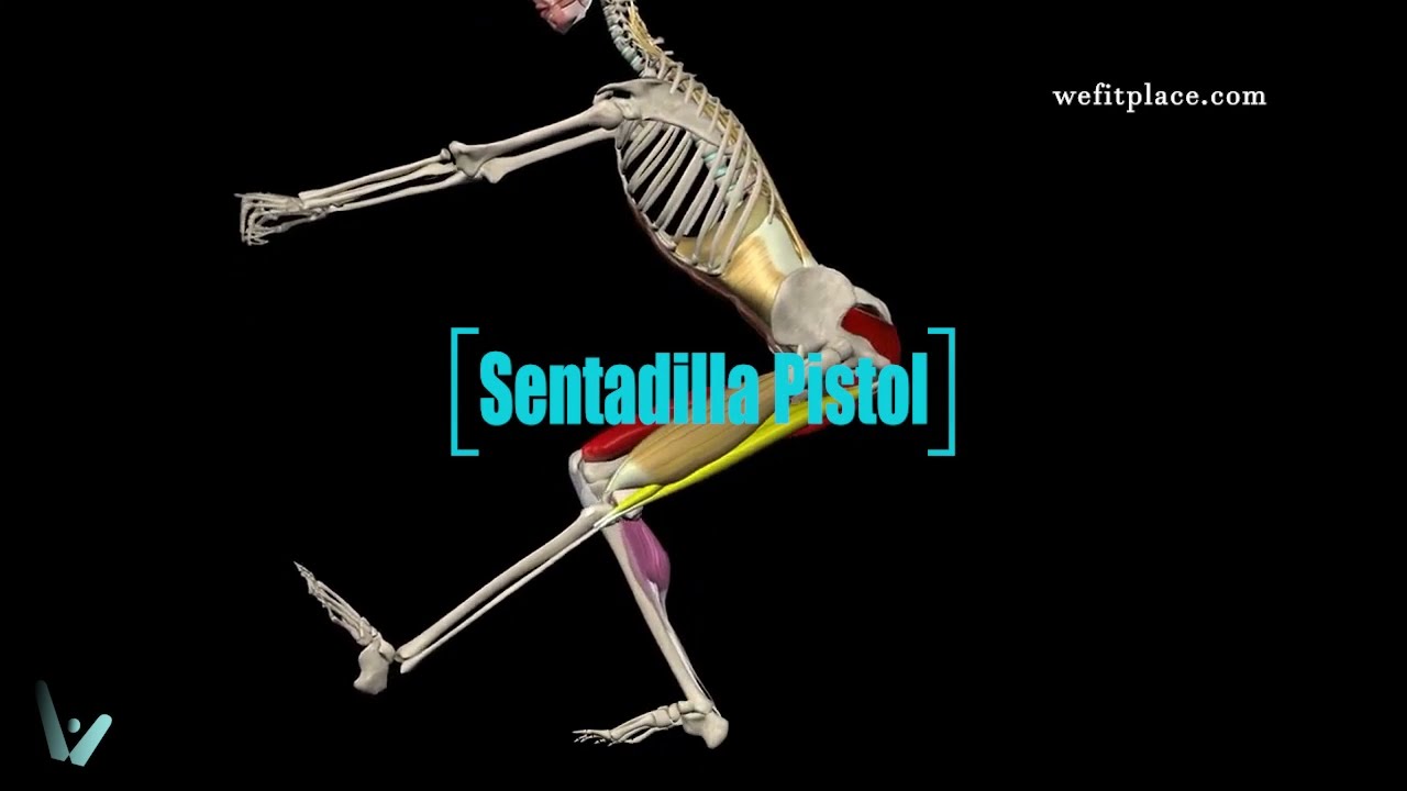 SENTADILLA PISTOL - ANÁLISIS BIOMECÁNICO EN 1 MINUTO - Glúteo - Fitness - Aprendiendo gym