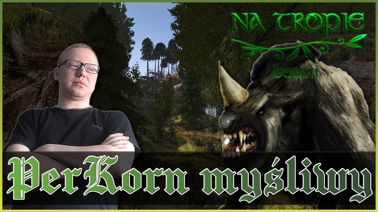 PERKORN MYŚLIWY - Gothic 2 Noc Kruka: Na tropie bestii [KONIEC]