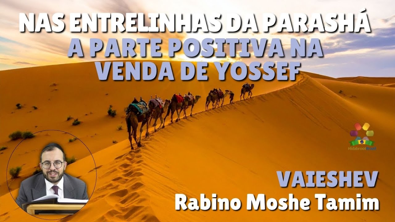 Entrelinhas da Torá - Vaieshev: A venda de Yossef - Rabino Moshe Tamim - Hidabroot Brasil (2025)