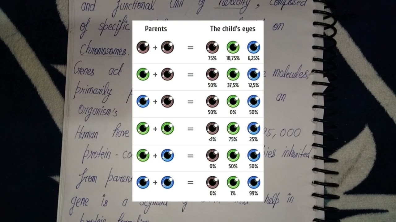 Unlocking the Cell: A Deep Dive into Plasma Membrane, DNA, Genes, & Nucleus