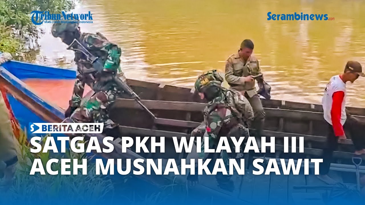 Satgas PKH Bidik 660 Hektare Perkebunan Sawit Ilegal di Aceh Tamiang