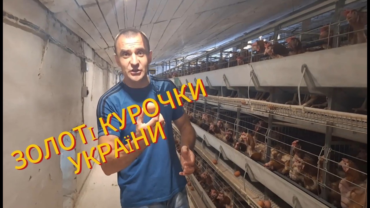 ЩО ПРИХОВУЄ ЦЯ ПТАХОФАБРИКА? ДИВИСЬ САМ!