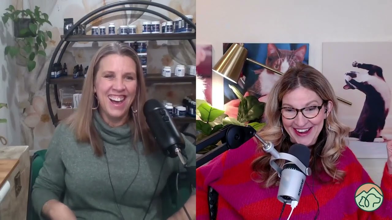 Жизнь ветеринара без прикрас: реальные истории из жизни ветеринарной клиники.