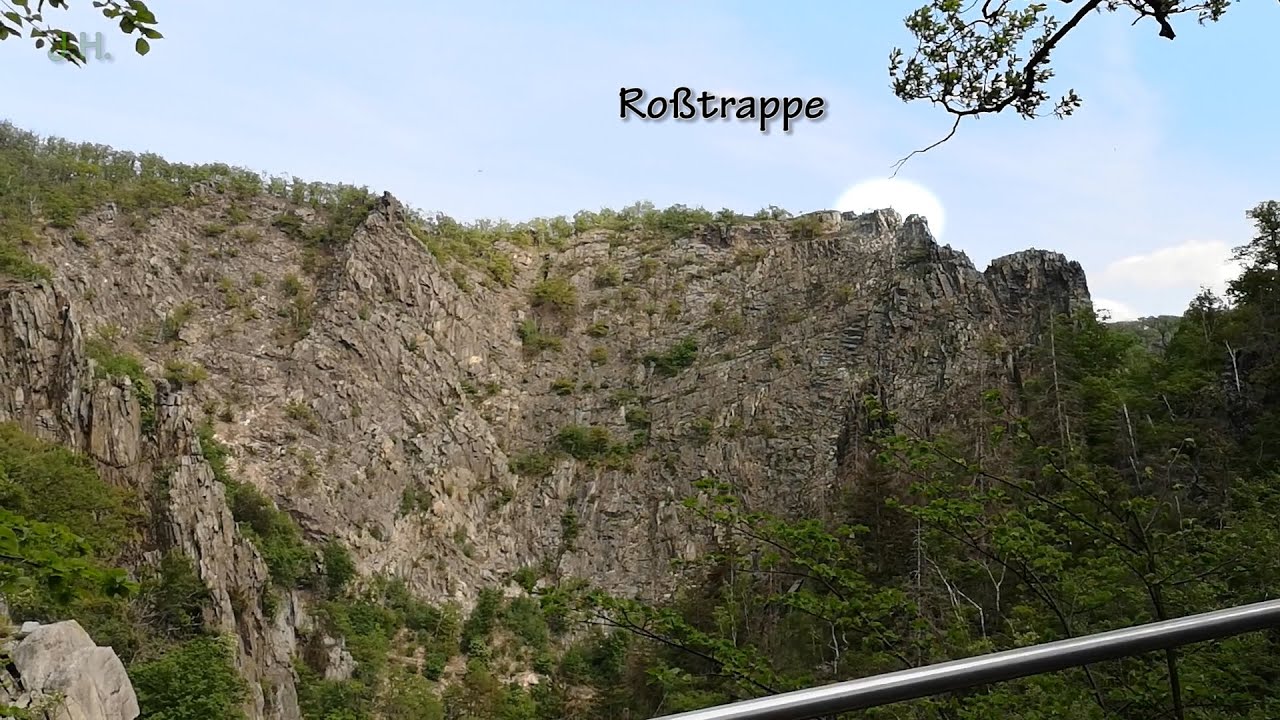 Wandern im Harz: Altenbrak, wunderschönes Bodetal, Rosstrappe, Kaulquappen, Molche