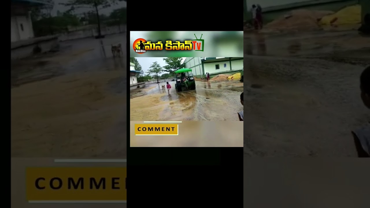 వడగళ్ల వానకి నోటి కాడికి వచ్చిన వడ్లు నీటిలో కొట్టుకు పోతున్నాయి || #ytshorts || Mana kisan tv