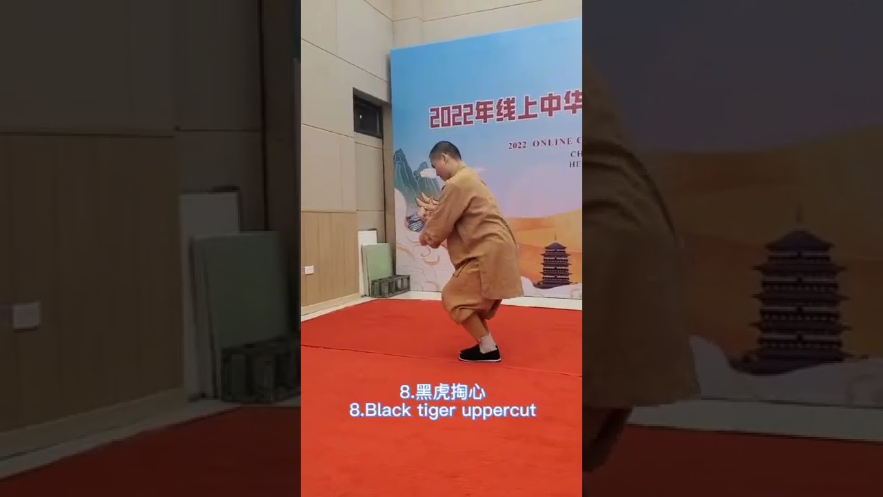 少林十三拳