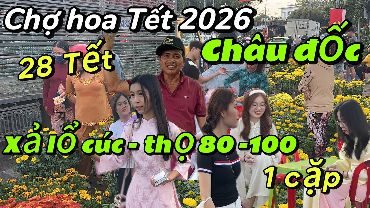 Chợ hoa Tết châu đốc xả lổ, tiểu thương than khóc, cãi nhau quyết liệt ngày 28 tet 