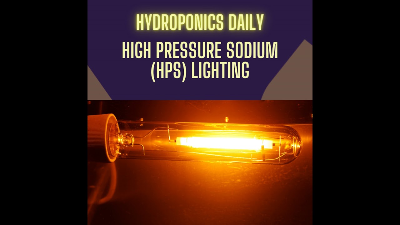 Sodium vs. Metal Halide Lamps