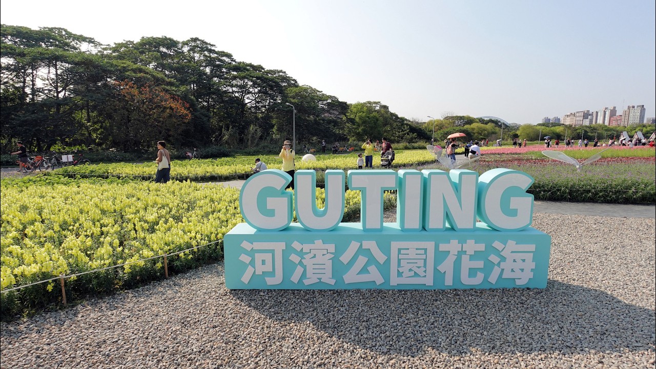 202602古亭河濱公園花海
