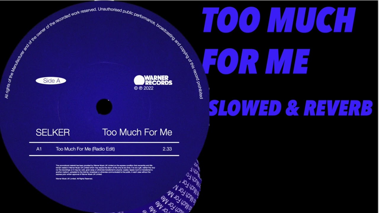 TOO MUCH FOR ME - SELKER - Slowed