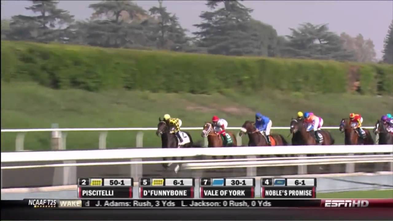 2009 Grey Goose Breeders' Cup Juvenile